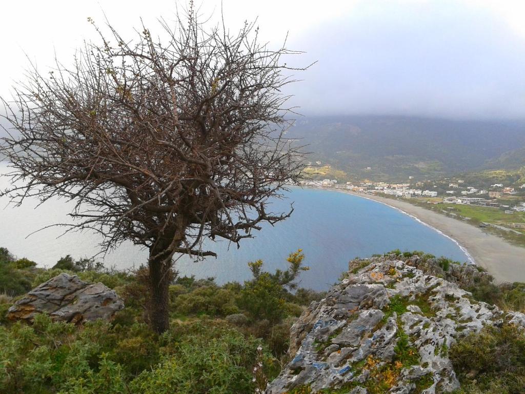 Flisvos Rooms Plakias Bagian luar foto