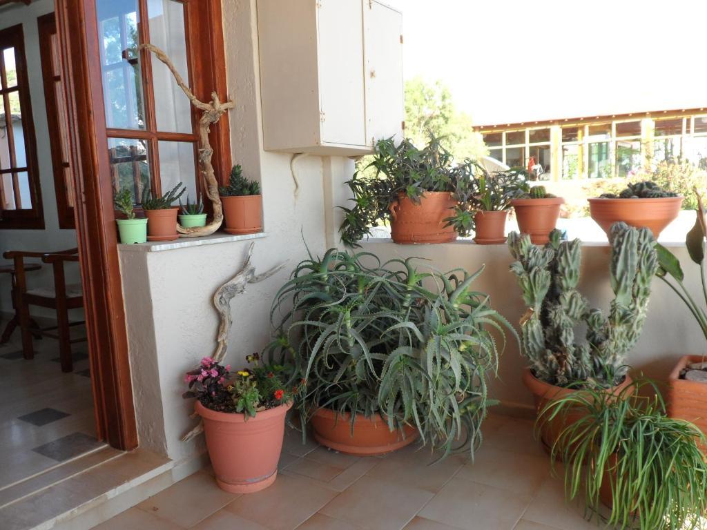 Flisvos Rooms Plakias Bagian luar foto